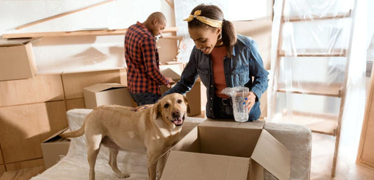 Movin' On Up! Get Your Dog Ready Before You Move