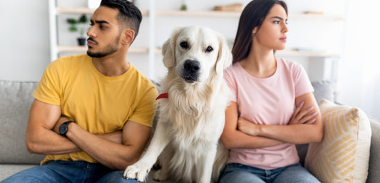 Dog Owner's Stress: Breaking Down the Cause and Effect