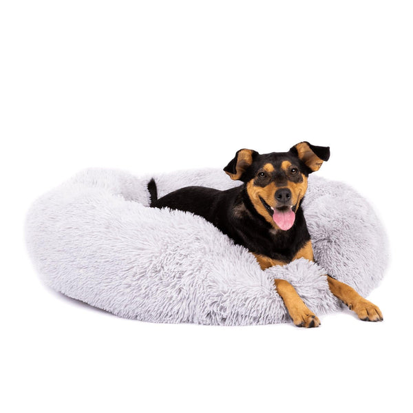 calming bed for dogs